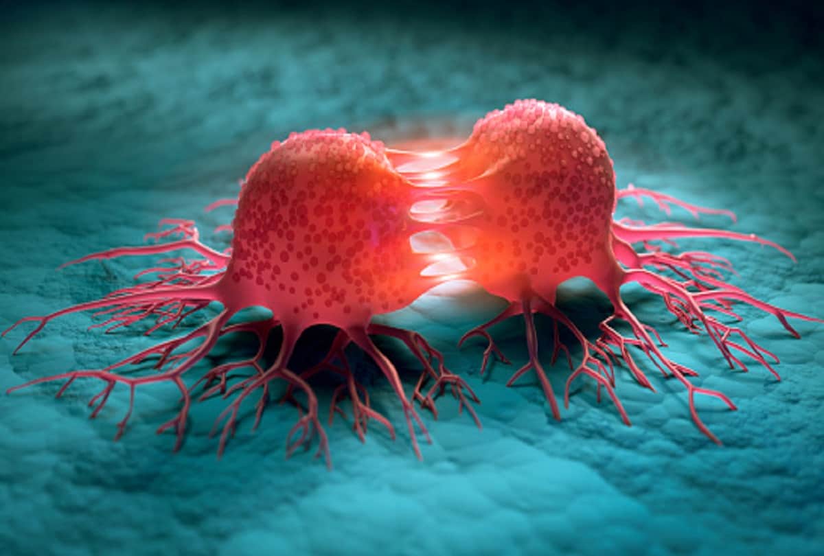 World health organization says we can lower our cancer risk by some ways