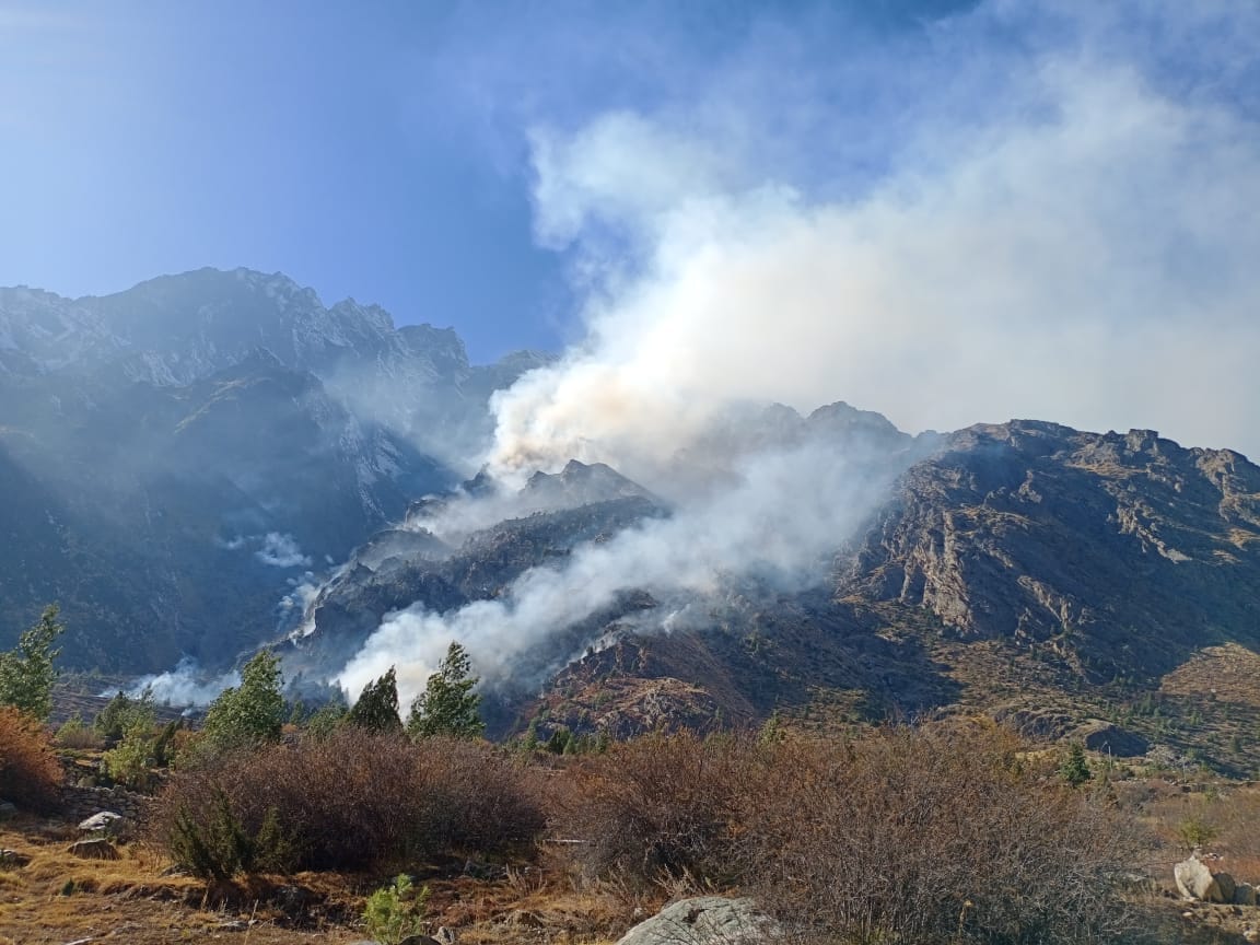 Wildfire in uttarakhand : on Wednesday forest department get relief from wildfire
