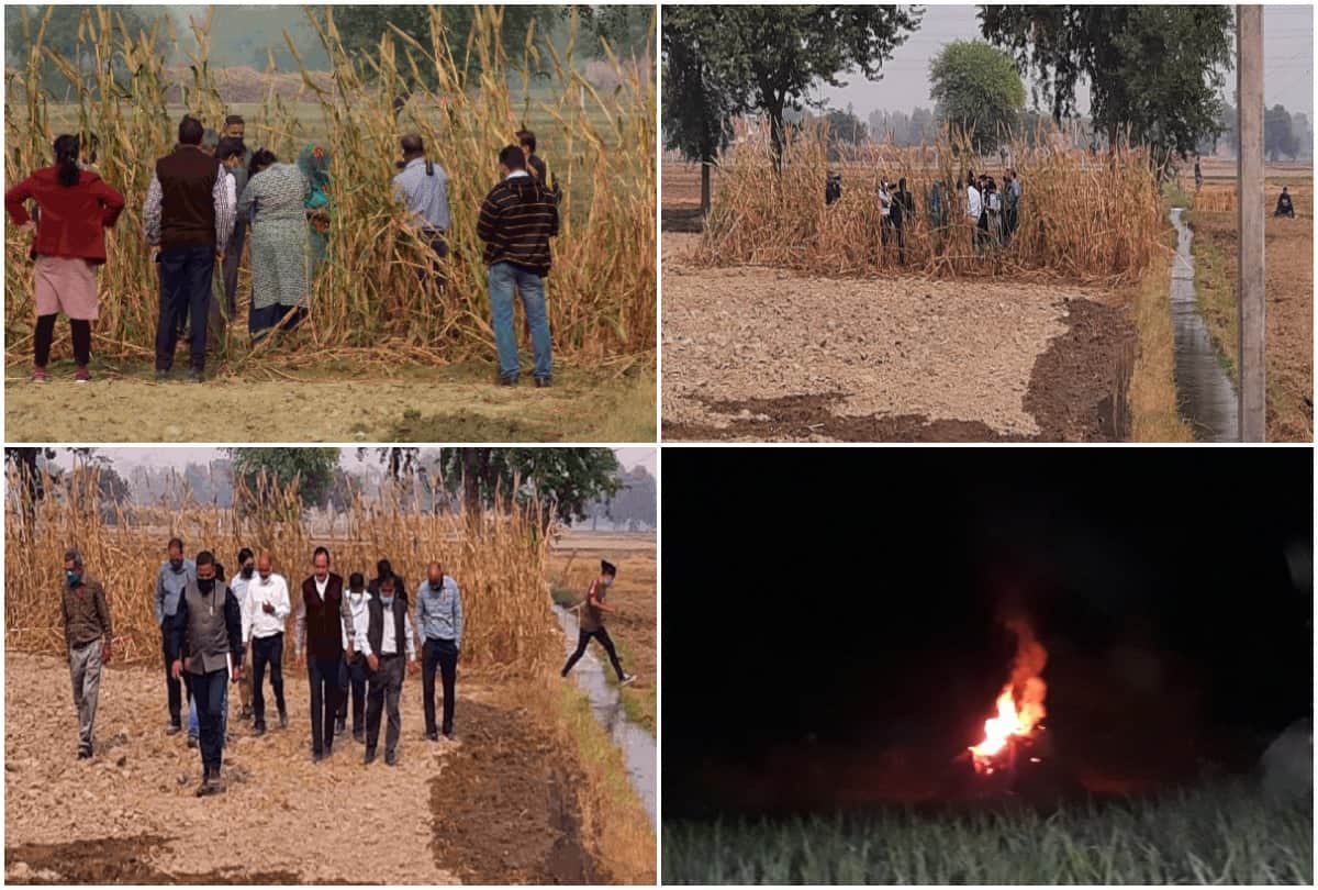 Hathras Rape Case News:  CBI can conduct psychological evaluation of victim elder brother