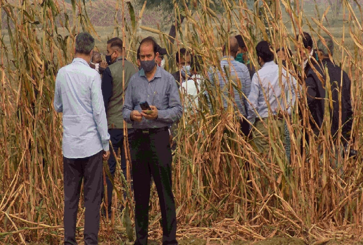 Today CBI will present status report in High Court on hathras case