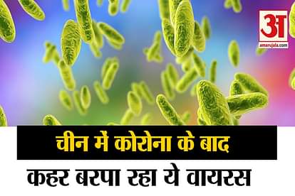 After corona another chinese virus may be fatal brucellosis malta virus