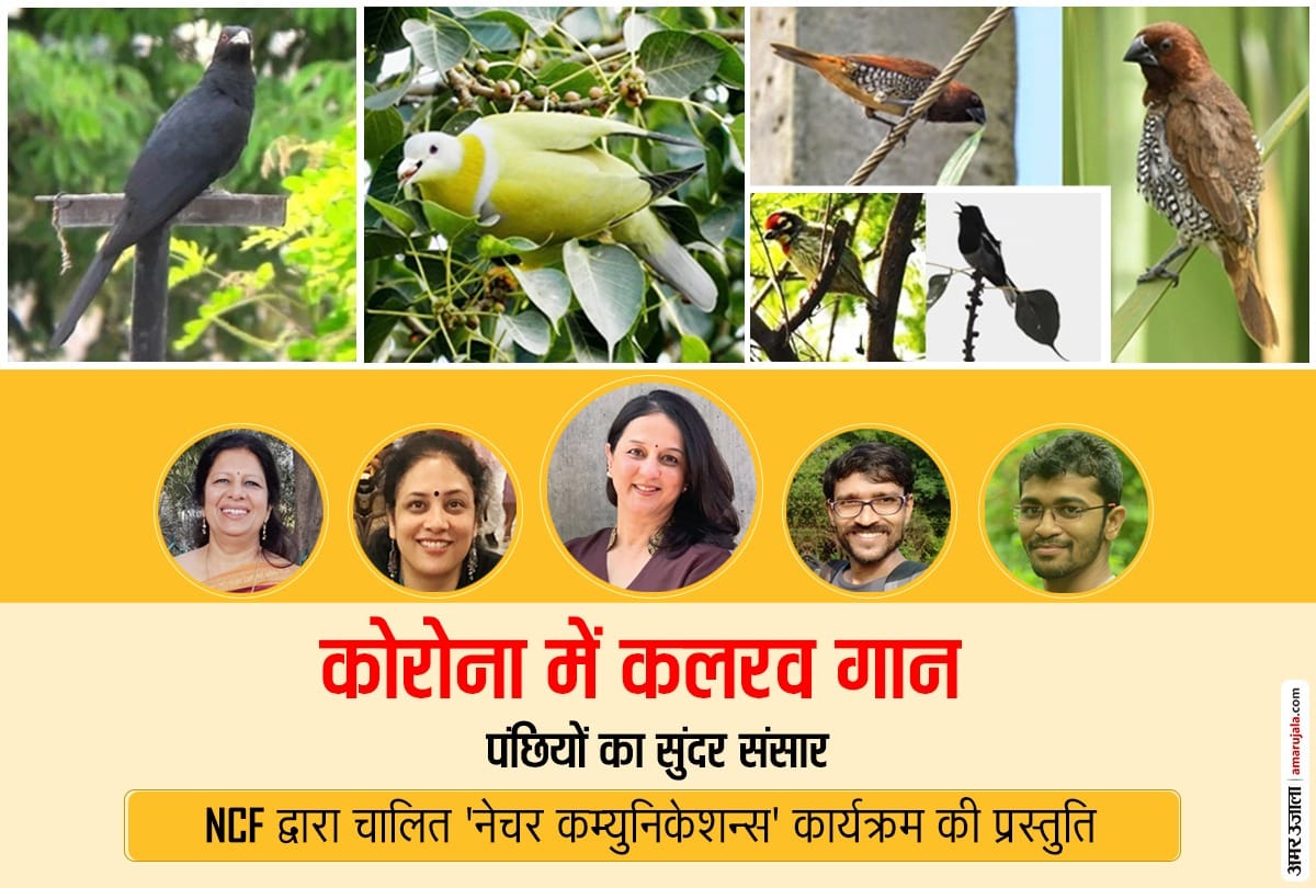 Nature Conservation Foundation Series for Natural Happiness: Accompanying birds and nature in the Corona Lockdown Era