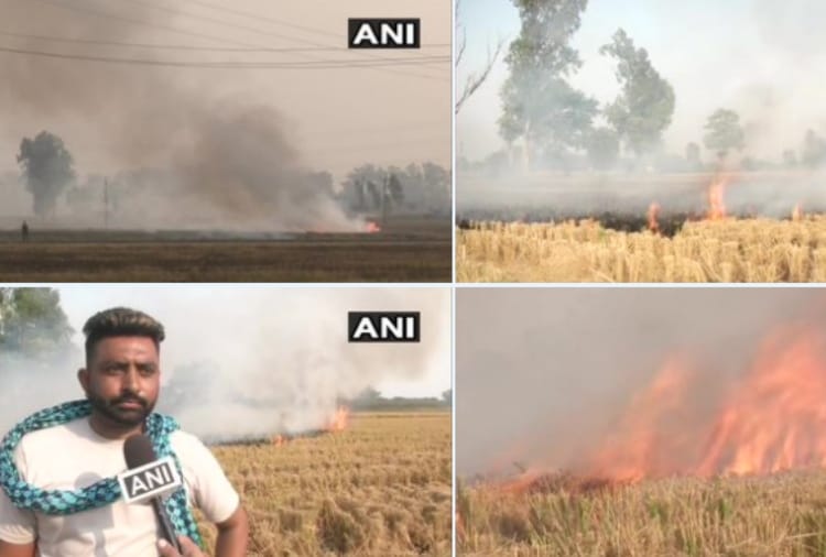 farmers burn stubble in Khela village of Jalandhar
