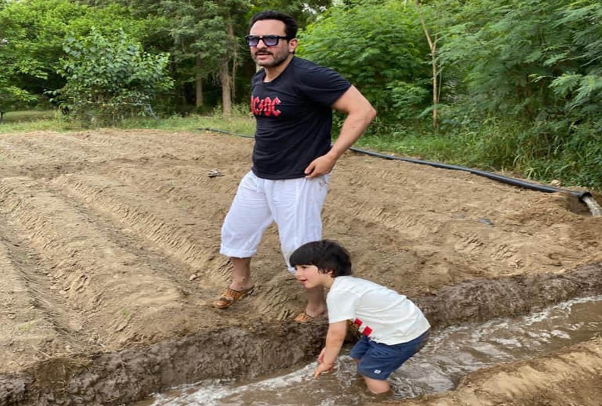 Kareena Kapoor Son Taimur Ali Khan Doing Farming With Father Saif Ali Khan Photo Goes Viral