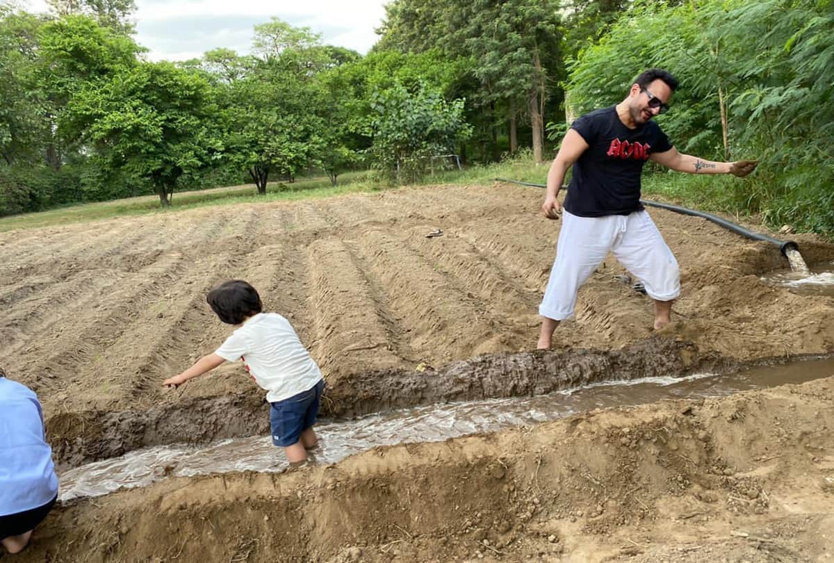 Kareena Kapoor Son Taimur Ali Khan Doing Farming With Father Saif Ali Khan Photo Goes Viral