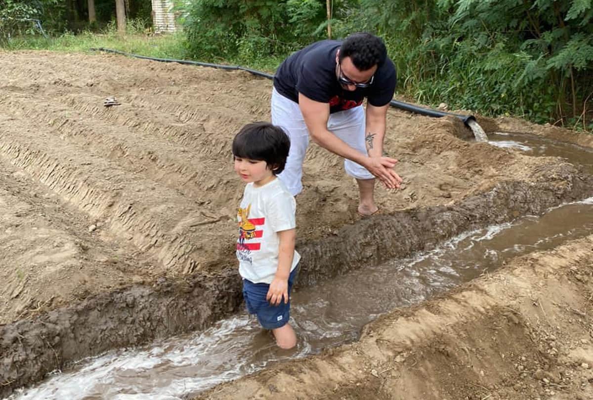 Kareena Kapoor Son Taimur Ali Khan Doing Farming With Father Saif Ali Khan Photo Goes Viral