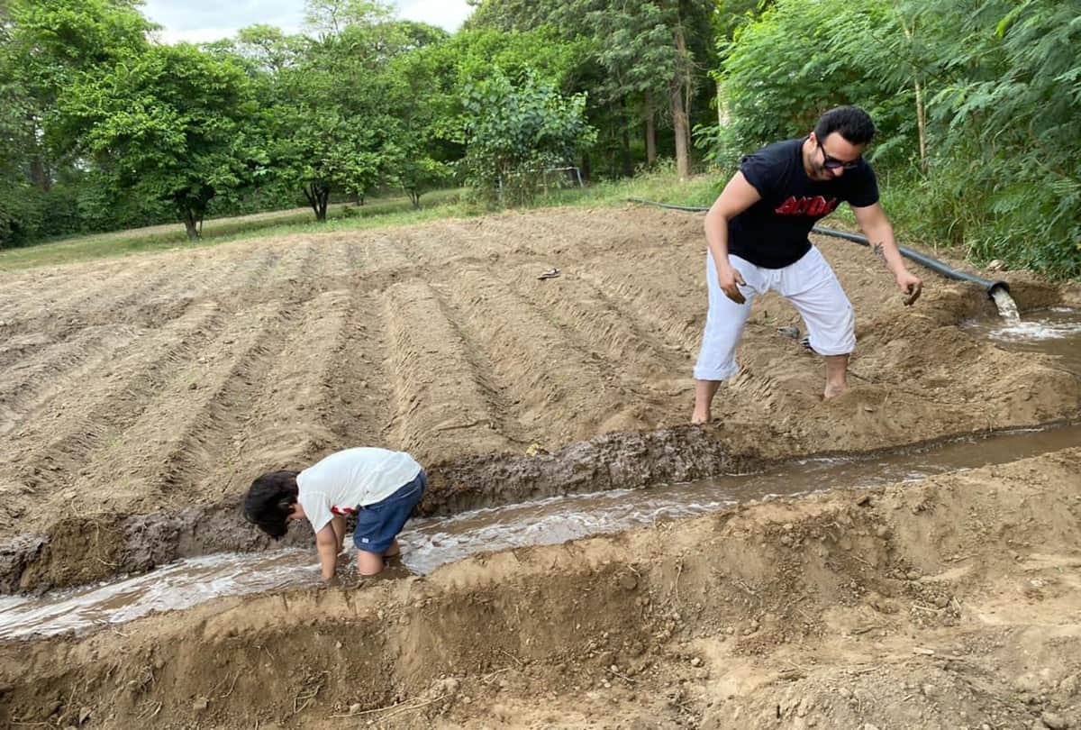 Taimur Ali Khan Becomes The Owner Of A Thousand Sqaure Feet Expensive Forest