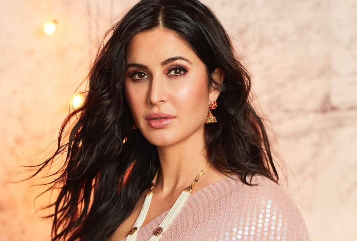 Bollywood Actors Who Faced Pain of Their Parents Divorce Shahid Kapoor Renuka Shahane Katrina Kaif Kajol Arjun Kapoor