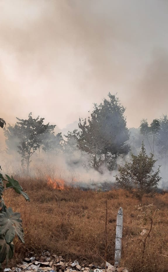 Bhojla mandi parishad fire