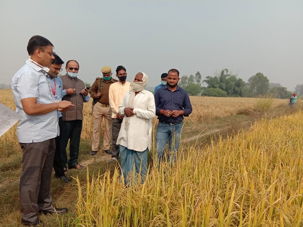 DM took stock of crop by cutting crop