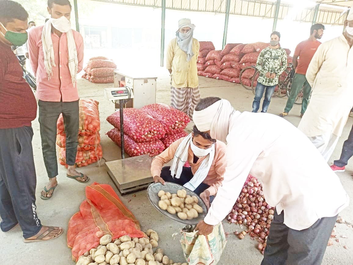 Potato onion stall in Mandi campus