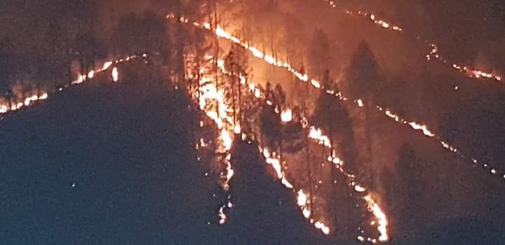 Forest Fire in Bageshwar
