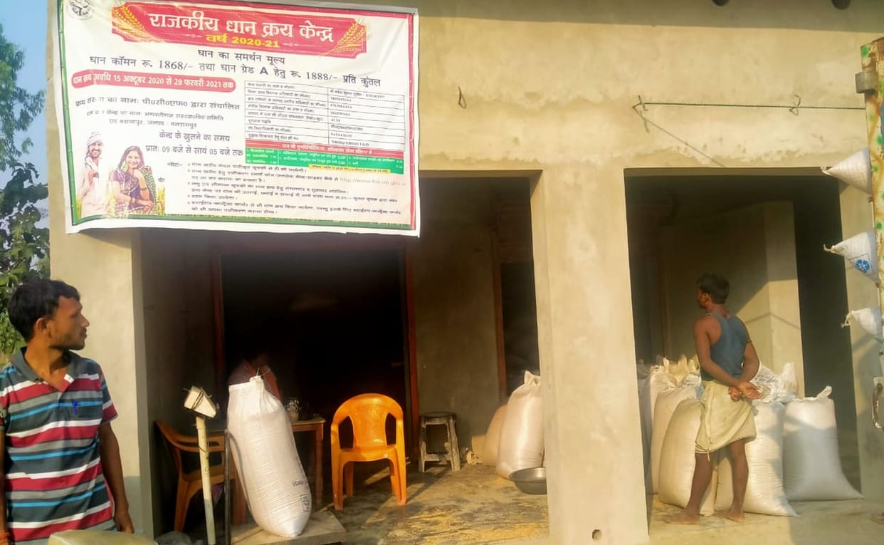 Farmers selling one thousand rupees per quintal of paddy in the hands of middlemen