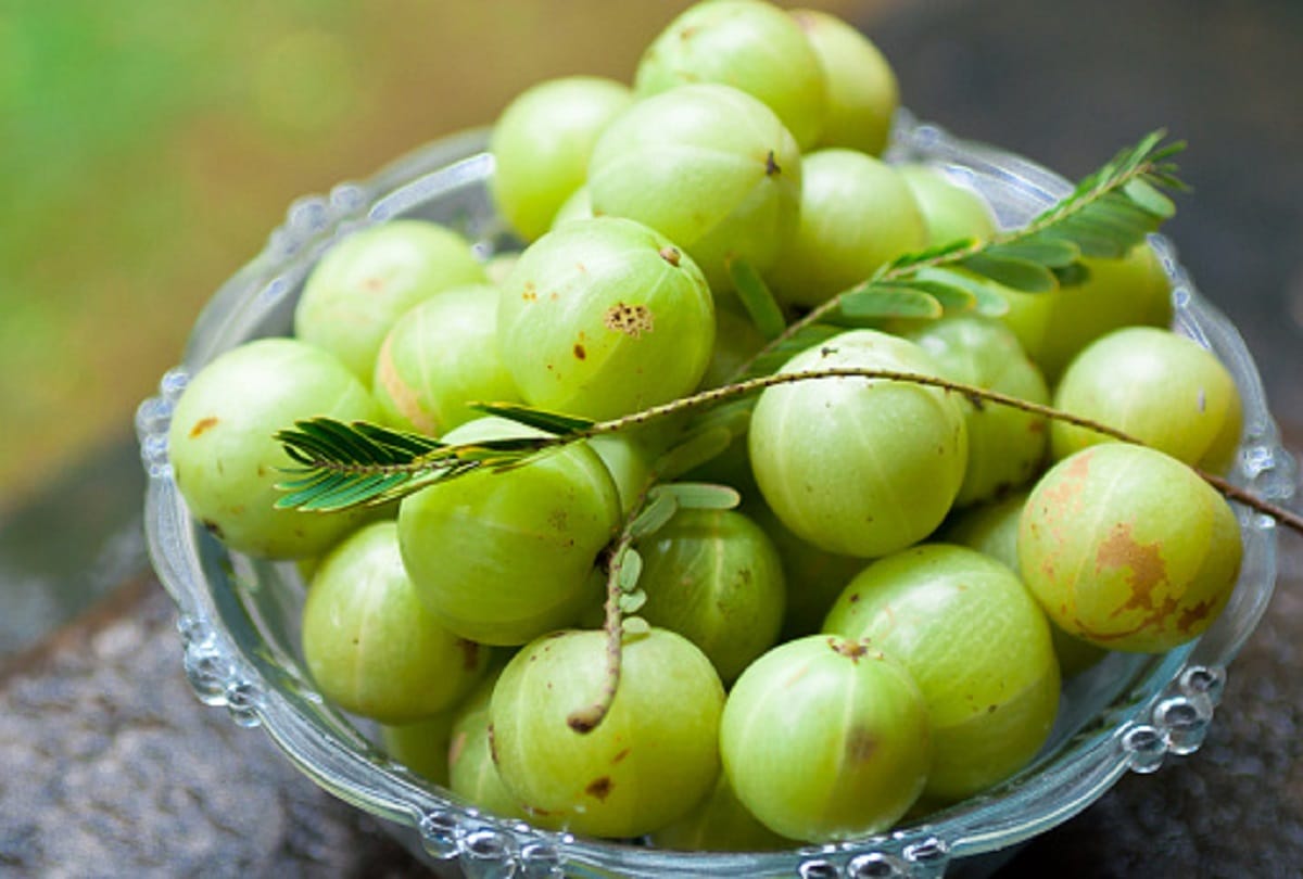 Take these measures for amla to get money
