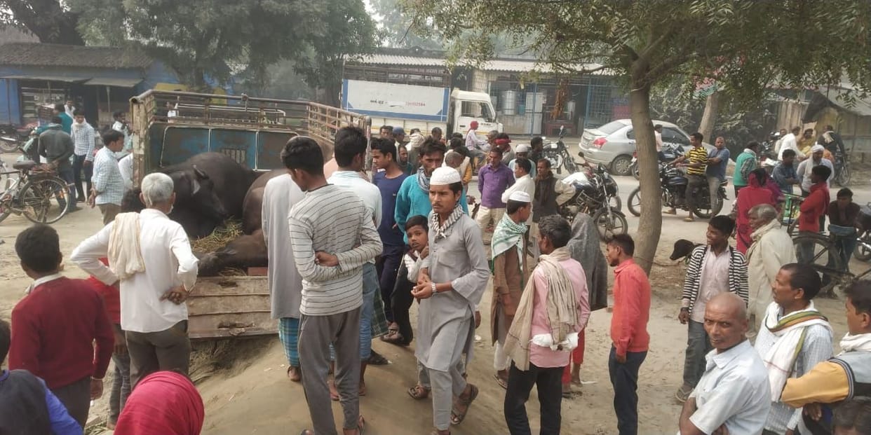 animal taskar start stoning to police, one injured