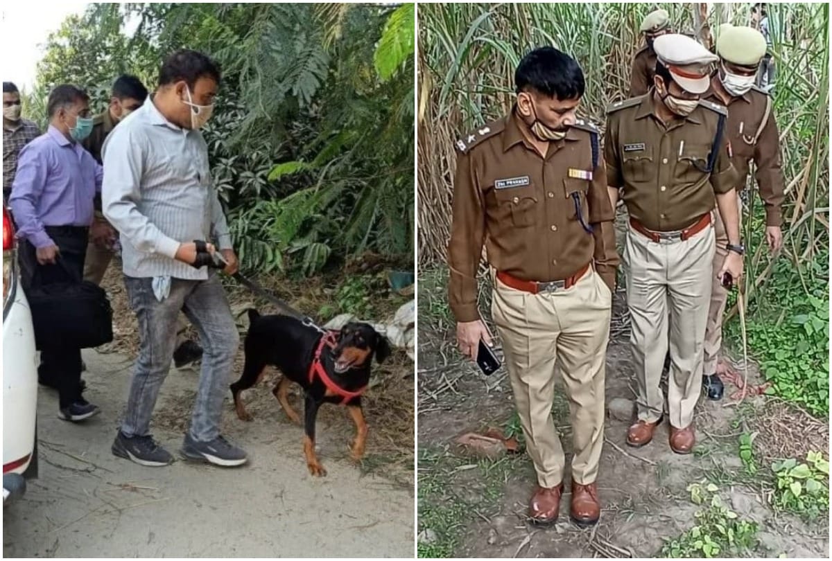 Six-year-old girl murdered after sexual assault in Pilibhit Disclosed in post mortem report