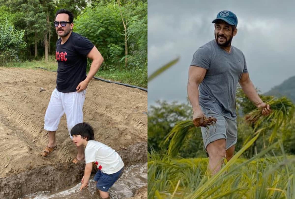 Saif ali khan to salman khan these celebrities farming photos goes viral