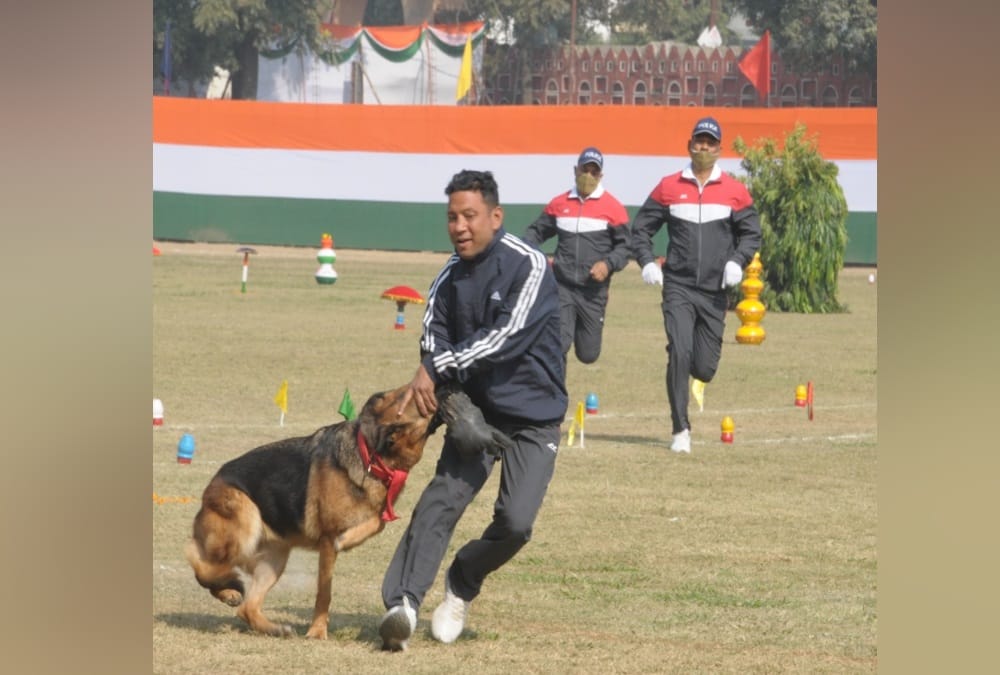 Uttarakhand 21st Foundation Day 2020: Soldiers and Dog Squad Shocking Stunt during Police Parade