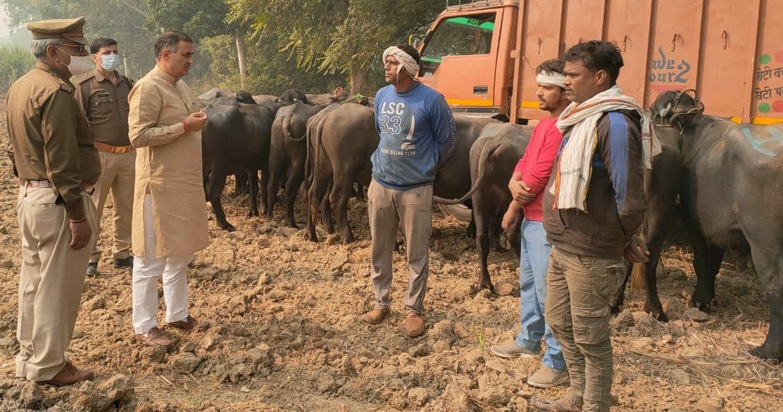BJP MLA got a canter laden with animals