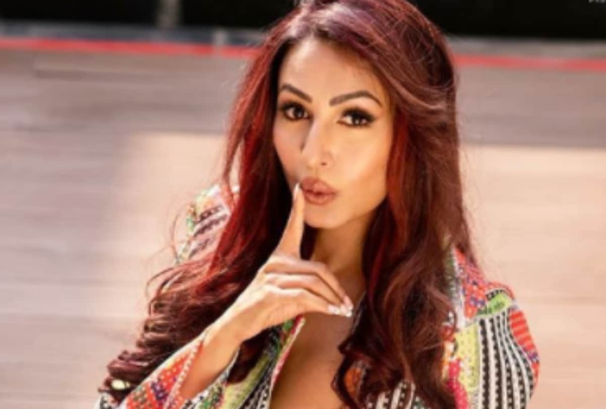 Kashmera Shah on Nisha Rawal and Karan Mehra says she knew there were problems He has been hitting her