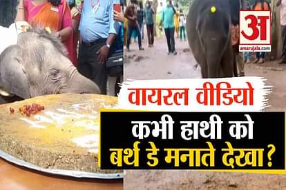 baby Elephant grand celebrations of first birthday in kottore of kerala video goes viral