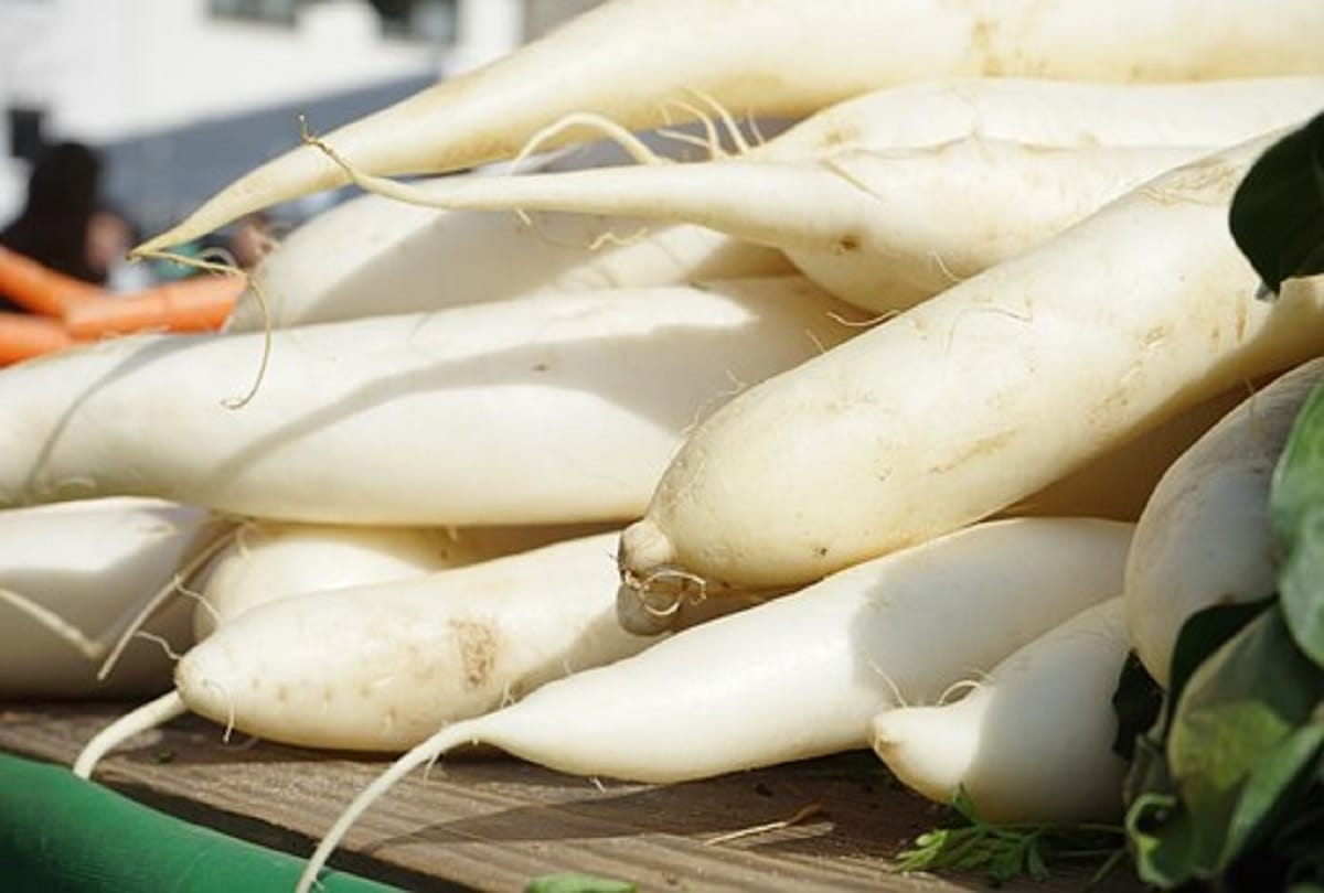 Health Tips: Foods To Avoid with Bitter Gourd Know Their Bad Effects on Body