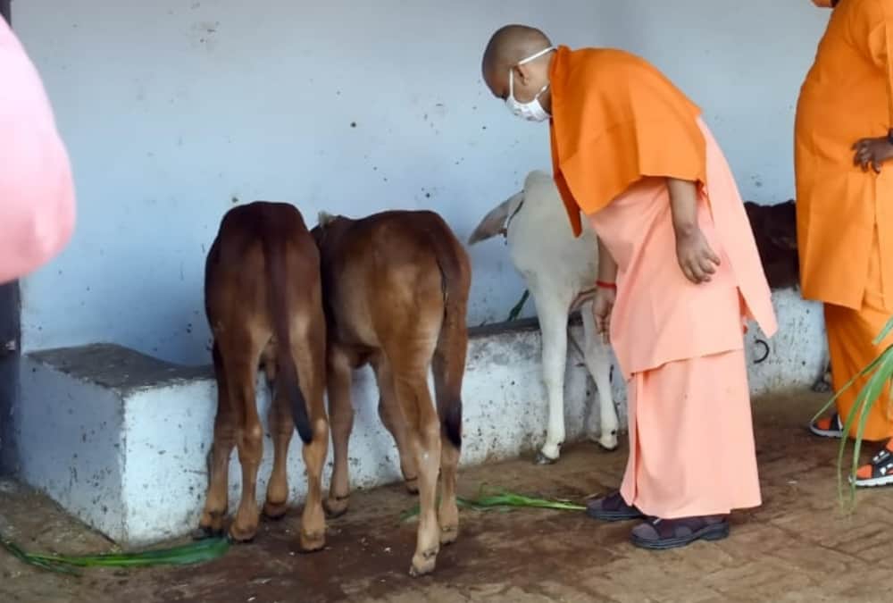 Chief Minister Yogi Adityanath offers prayer to Shaktipeeth in Balrampur.