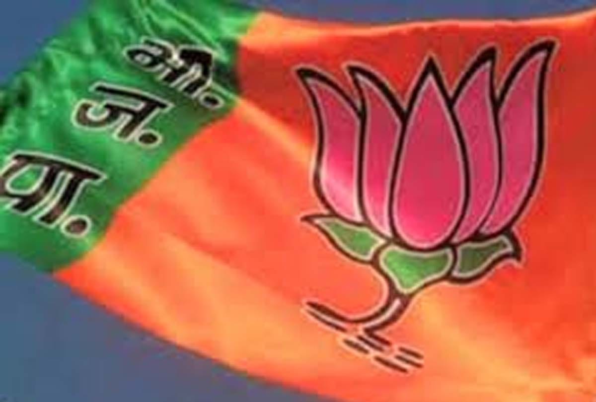 up by election results 2020 updates in hindi: BJP got votes of all castes