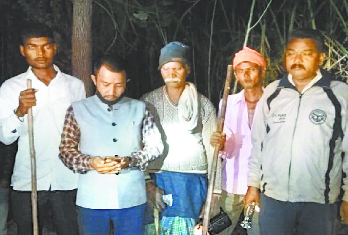 leopard dragged the girl from courtyard of the house, dead body recovered from sugarcane field