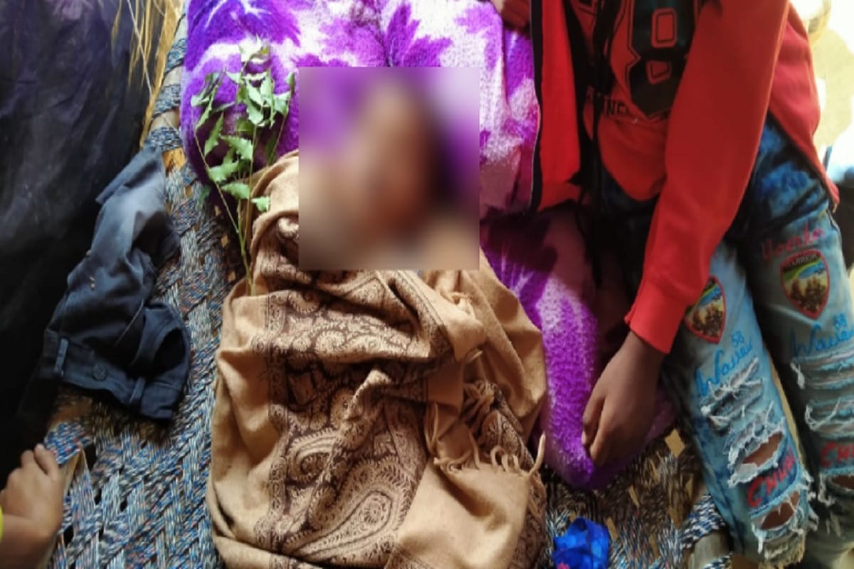 Two baby child drowned in a pond and died in Bijnor of Uttar Pradesh