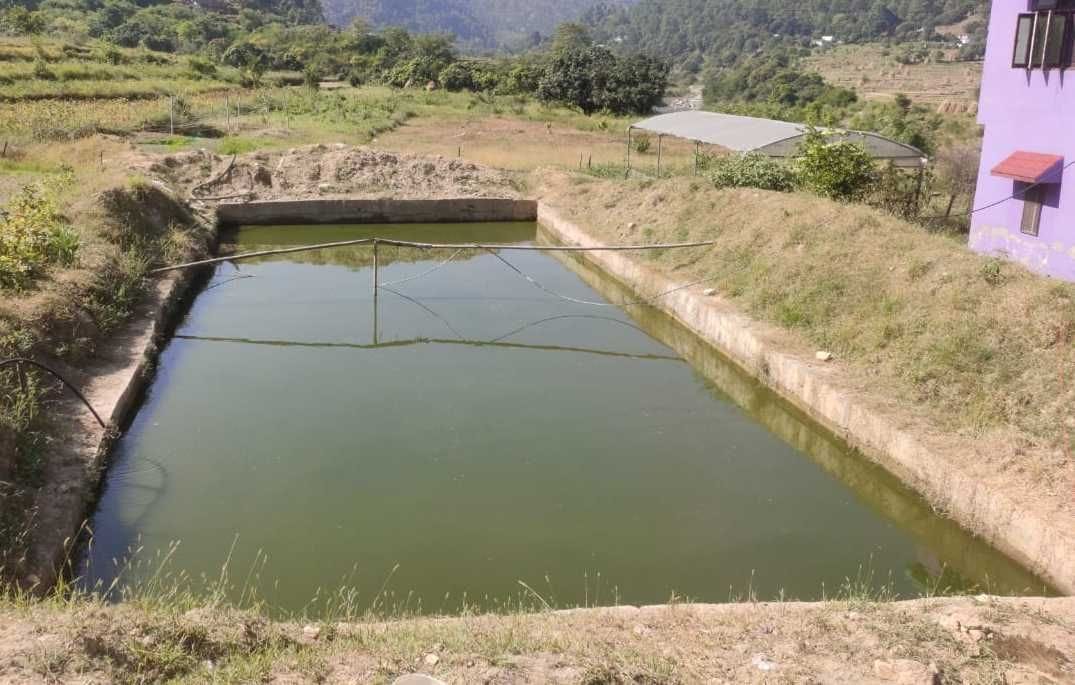 Fisheries made a means of employment