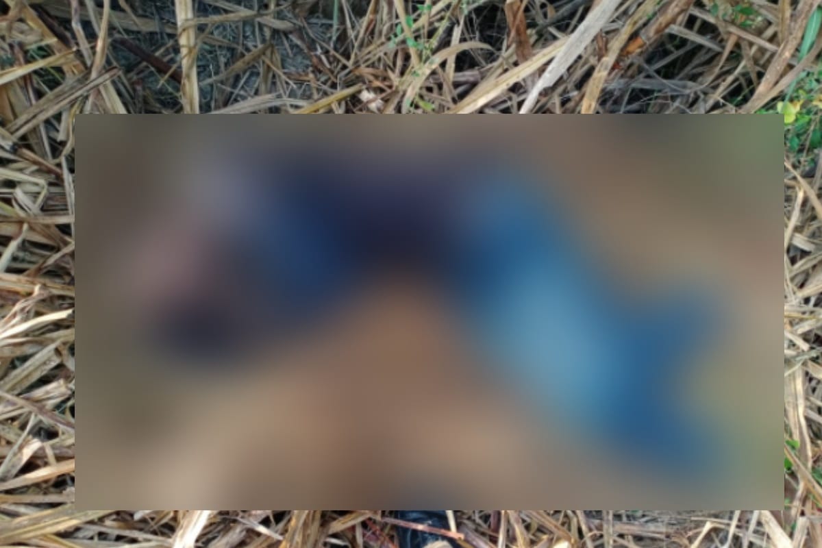 Madhya pradesh:70 year old women killed after misdeed in vidisha