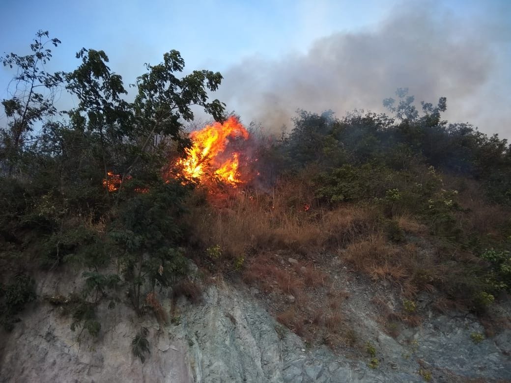 The fire on the hills of Kanwadi and Bhujan, the villagers and the fire department team managed to control the fire with great difficulty.