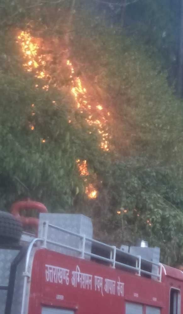 Forest fire prevented from reaching population