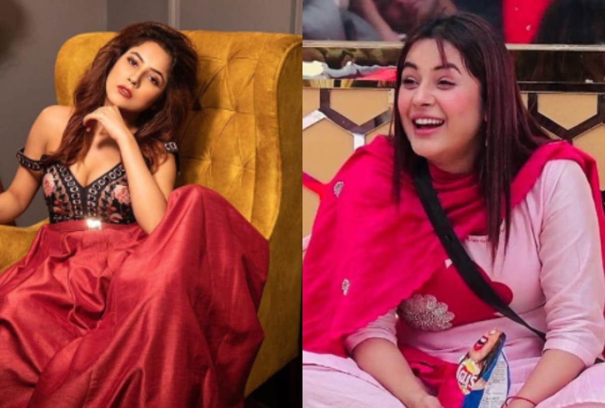 Fat to Fit: Before Aashika Bhatia these tv stars stunned by their transformation shehnaz gill avika gor bharti singh