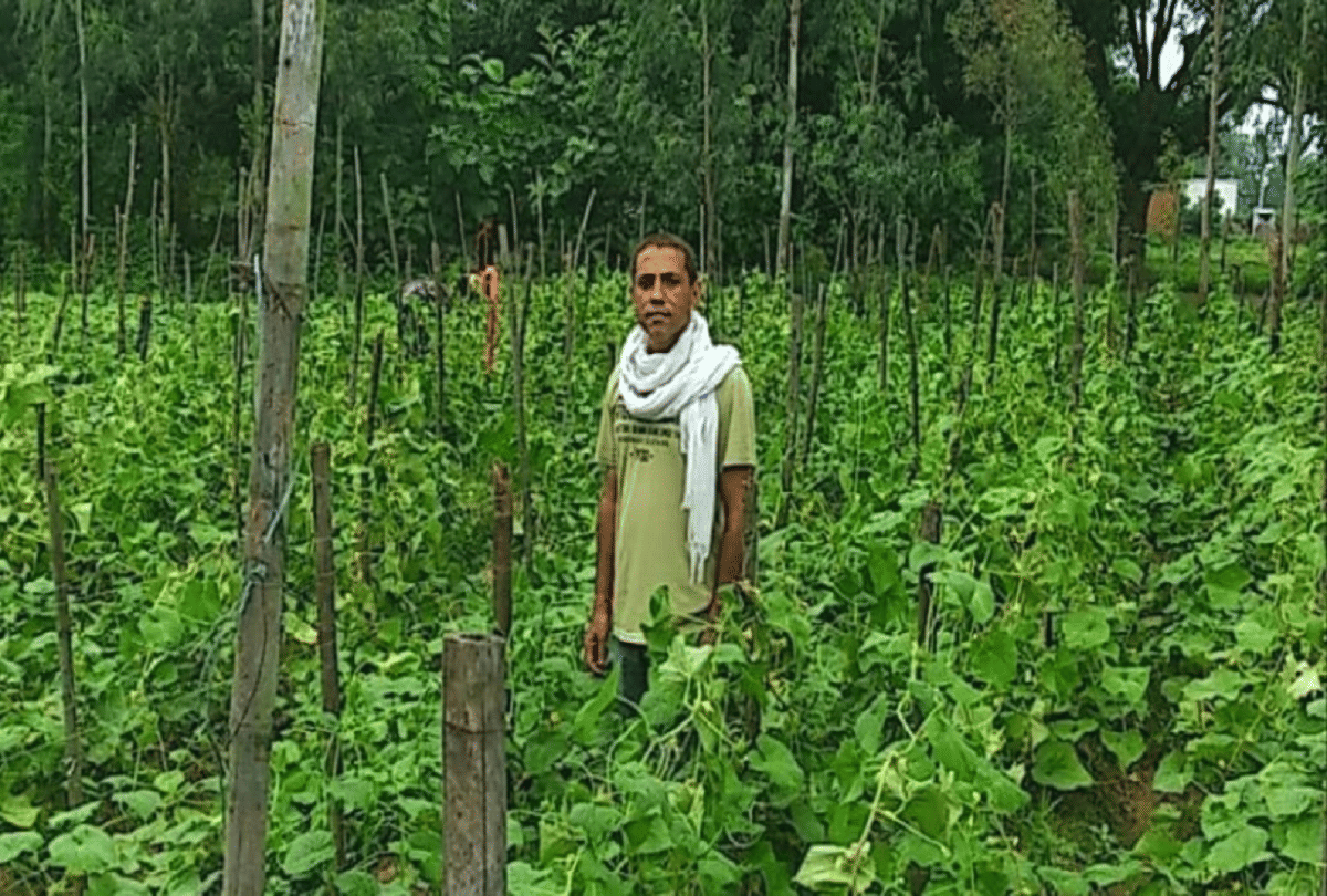 sandeep khandelwal quit mnc job started organic farming earn 25 lakh annum