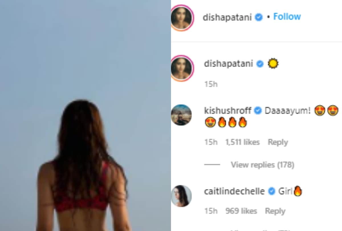 Disha patani dance video krishna shroff comment watch video