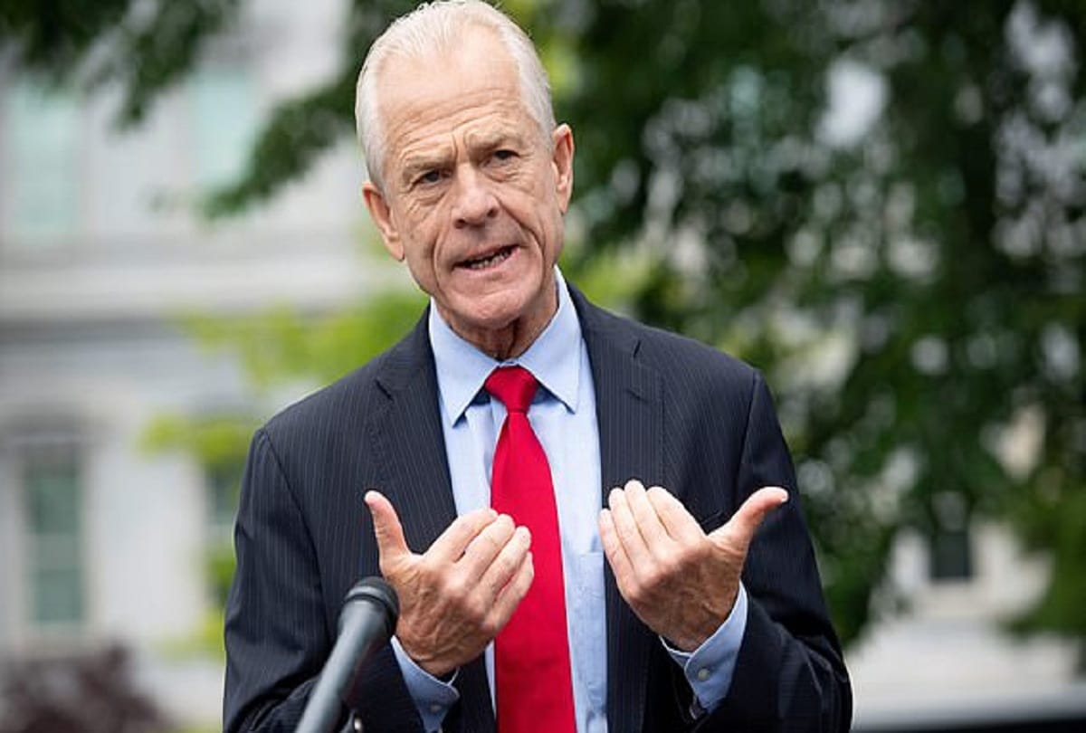 White House economic adviser Peter Navarro said on counting of votes in US elections