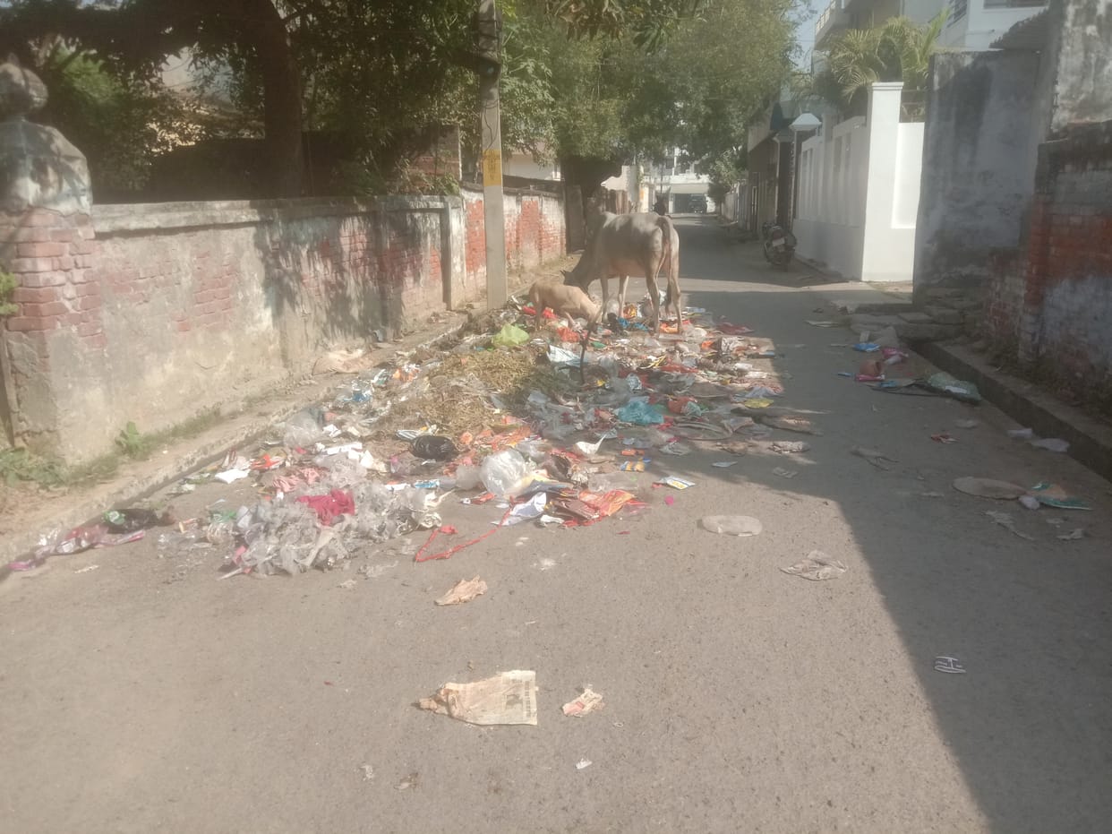 Cleanliness of roads, garbage among the population