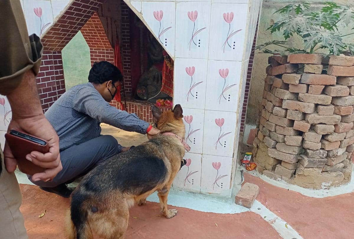 UP: Missing innocent child brutally murdered on Diwali evening, dead body found, heart and lungs not found