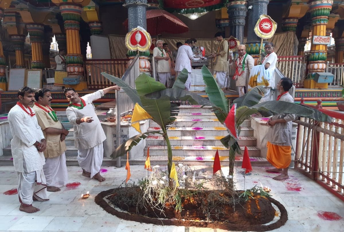 Govardhan Puja 2020 Celebration In Thakur Dwarkadhish Temple
