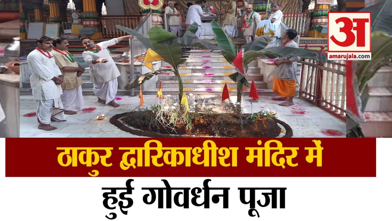 मथुरा के ठाकुर मंदिर द्वारकाधीश जी महाराज में गोवर्धन पूजा