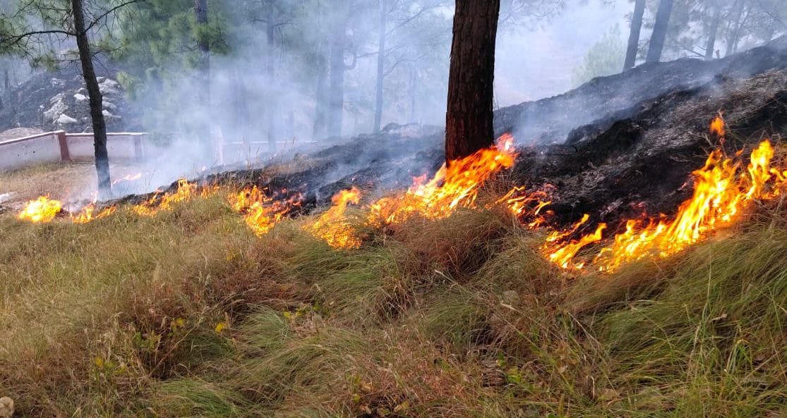 Fire in the forests of Rai-Dhanoda and Satusiling area again