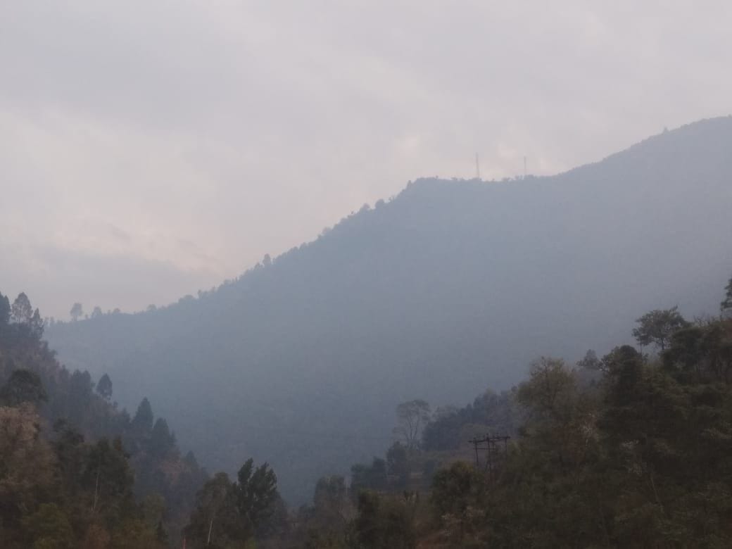 For two days, the jungle of charred forests has been burning
