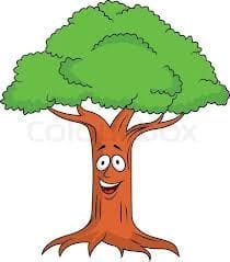 Smugglers cut down sandalwood tree from the ashram