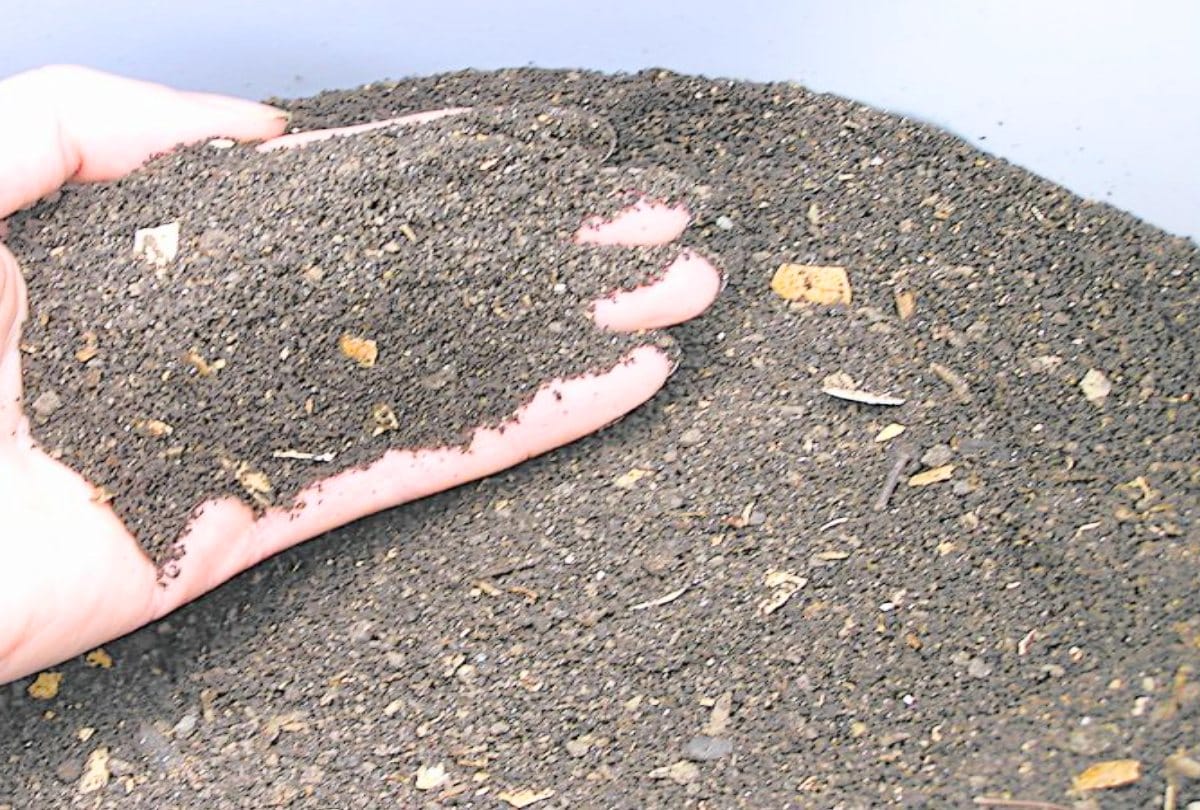 Walnut Shell Uses in Hindi akhrot ke chilke ke fayde