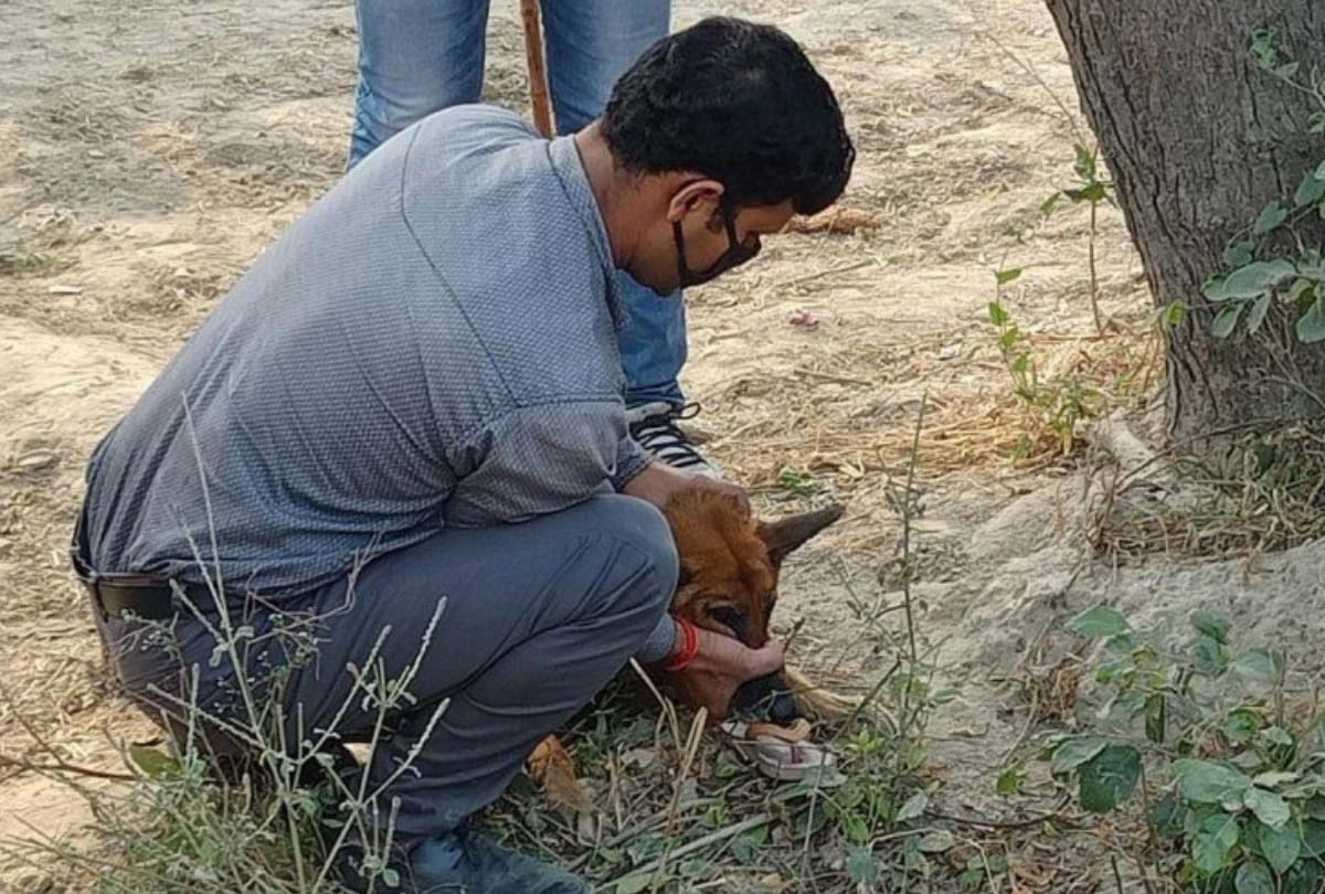 gang misdeed with Six year old girl and murder in ghatampur