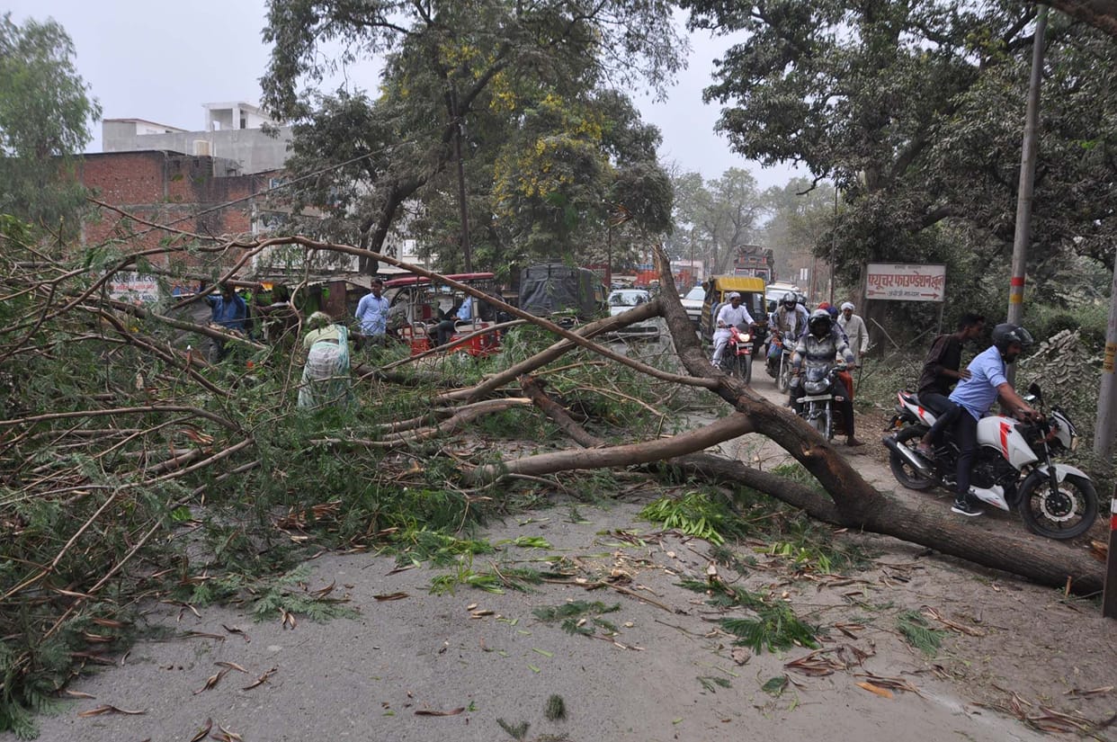 Trees fell on National Highway, jam for an hour