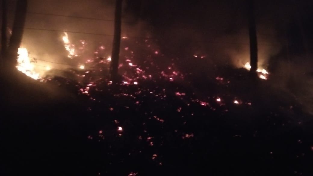 Forest and hills fire