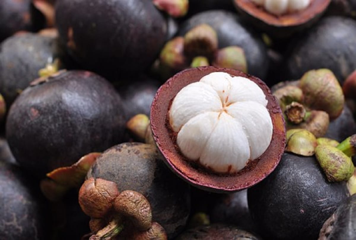 Health benefits of mangosteen in hindi